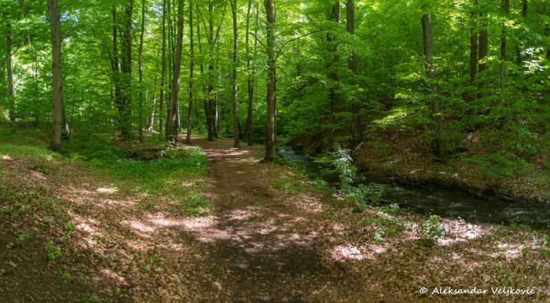 DSC_7580-Pano