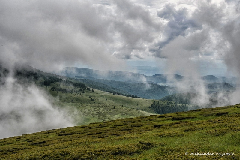 DSC_9389-Edit