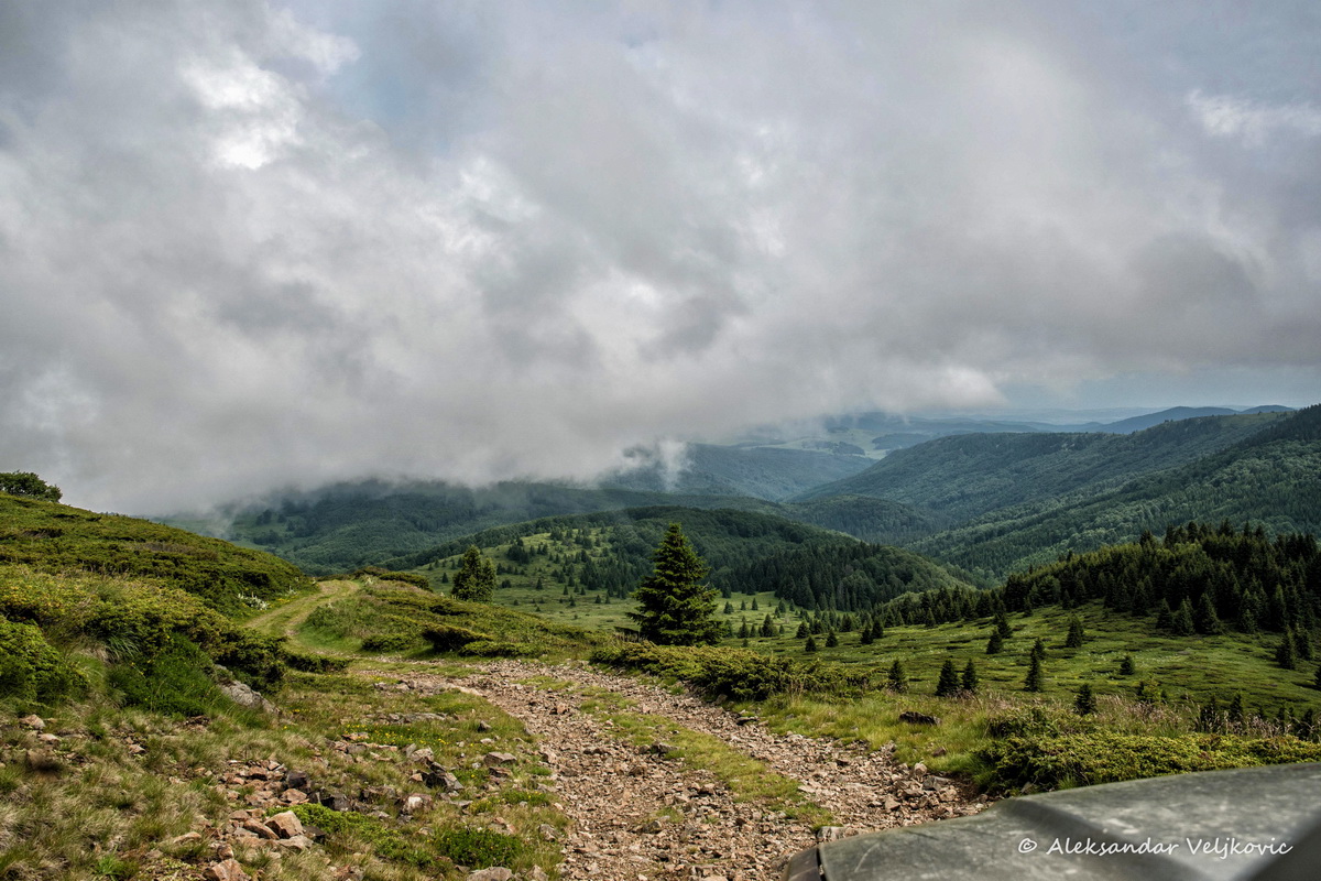 DSC_9412-Edit
